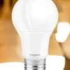 BRY-ADVANCE-12W-E27-A60-6500K-LED BULB – Bild 2