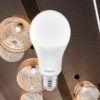 BRY-ADVANCE-13W-E27-A65-4000K-LED BULB – Bild 2