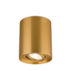 BRY-GAMA-8010-RND-GLD-GU10-SPOTLIGHT