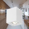 BRY-GAMA-8010-SQR-WHT-GU10-SPOTLIGHT – Bild 2